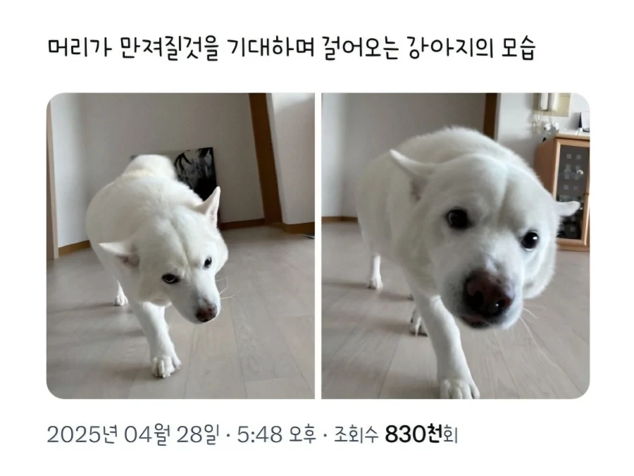 이제는 추억이 되버린 코로나 이전 명동의 모습 이미지 2