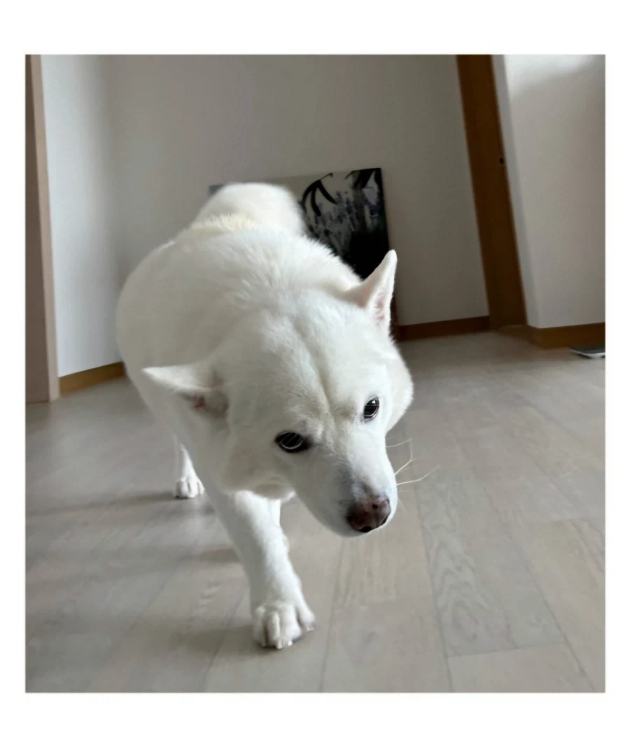 머리가 만져질것을 기대하면 걸어오는_2.webp