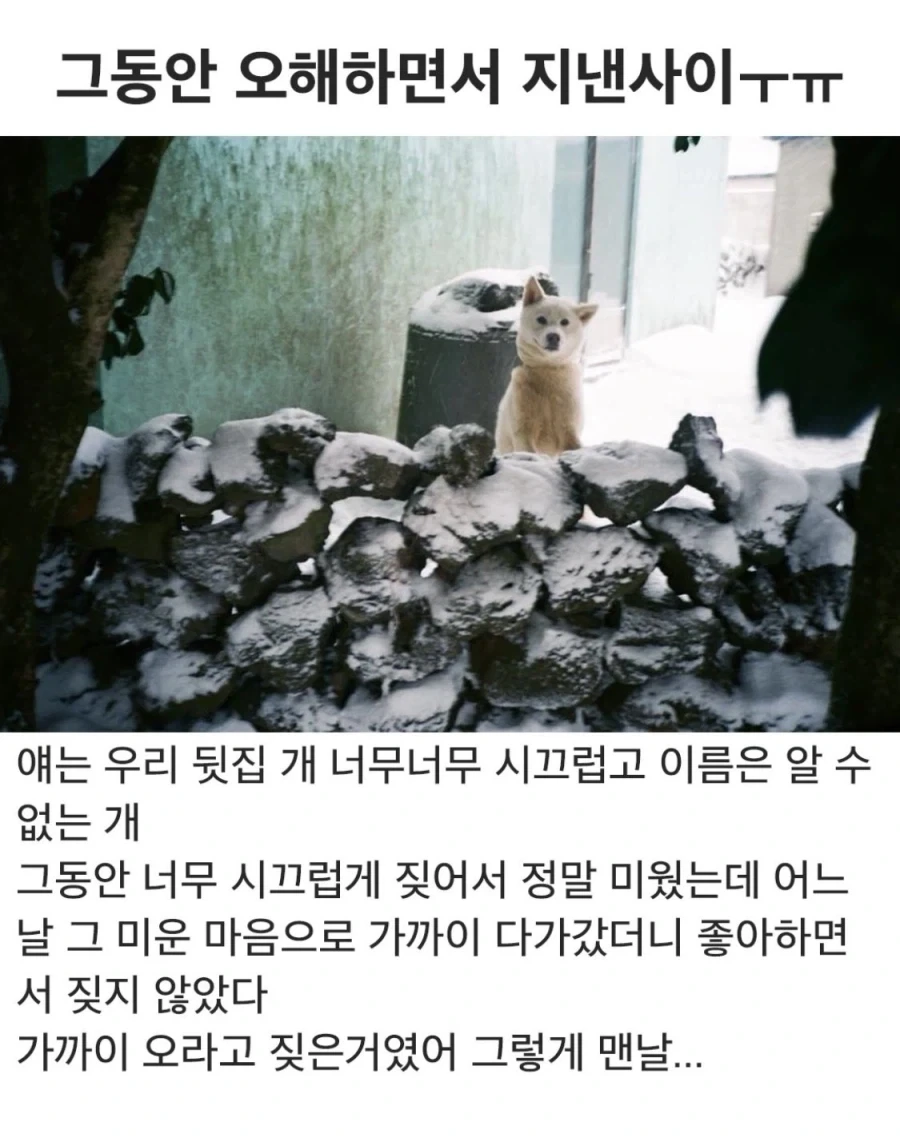 블리치에서 쿠보 어께 다 나갔는데 연재 강행 이유 대표 이미지