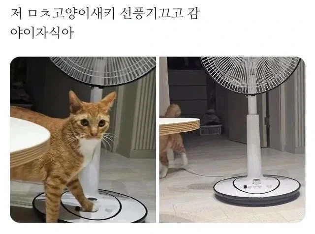 이쯤에서 여론 확인 이미지 2