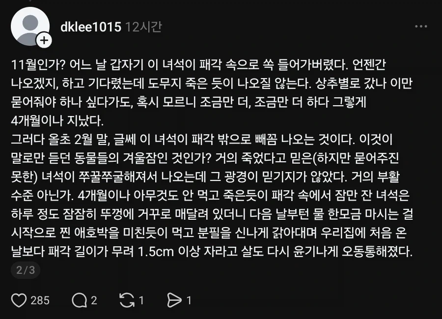찐 애호박만 먹는 달팽이_2.webp