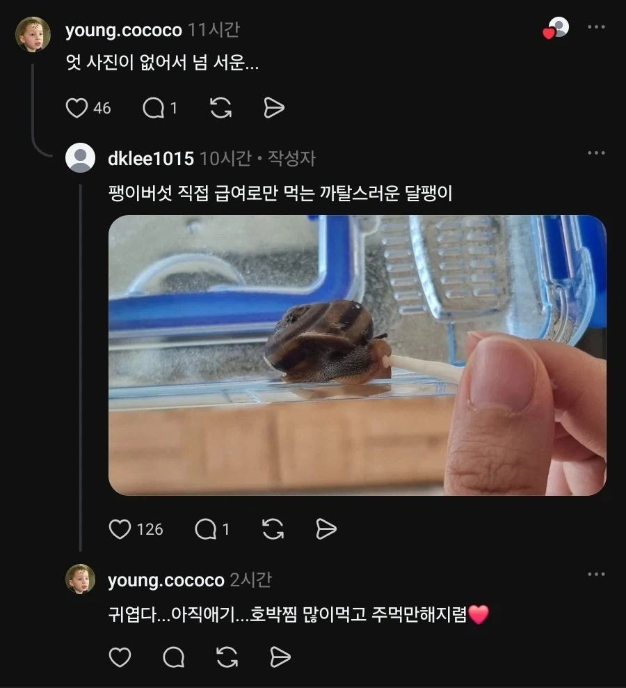 찐 애호박만 먹는 달팽이_4.webp