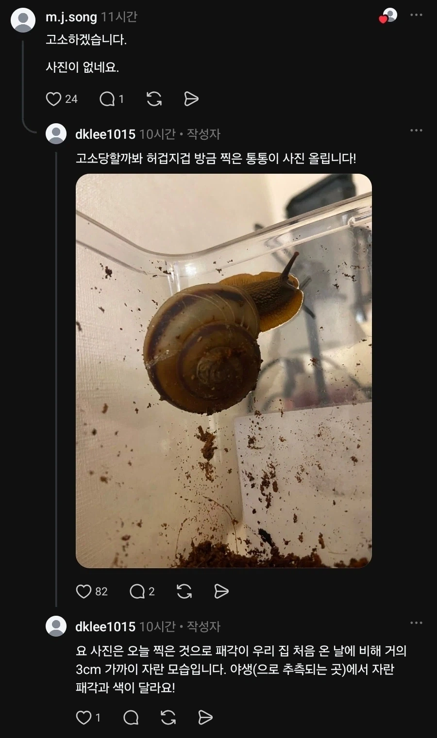 찐 애호박만 먹는 달팽이_5.webp