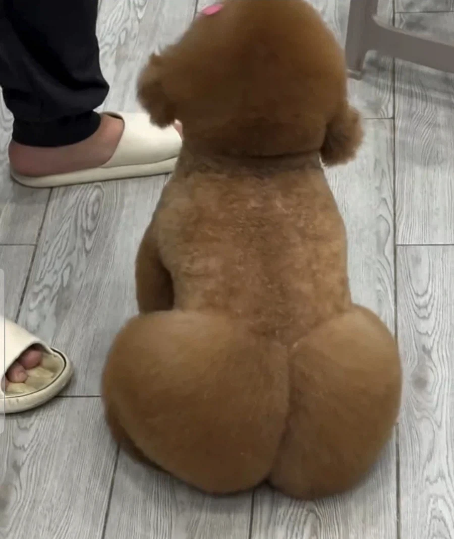 엄마 죽었다는 소리듣고 버스에서 울었다는 사람.jpg 대표 이미지