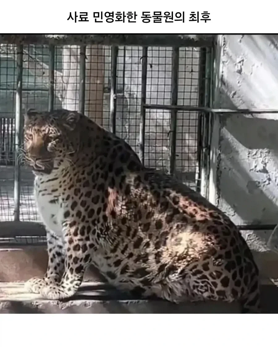화학교사 김주석 이미지 19
