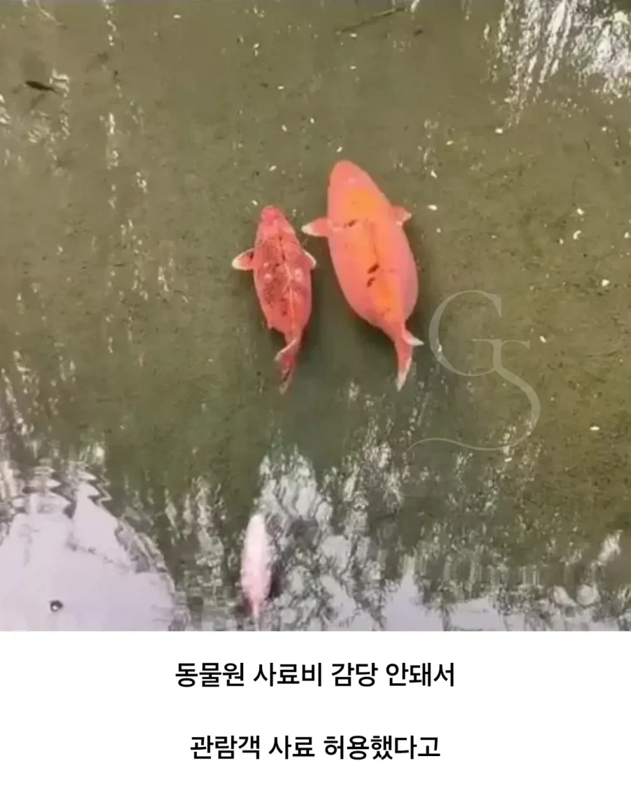 동물원 민영화의 최후_5.webp
