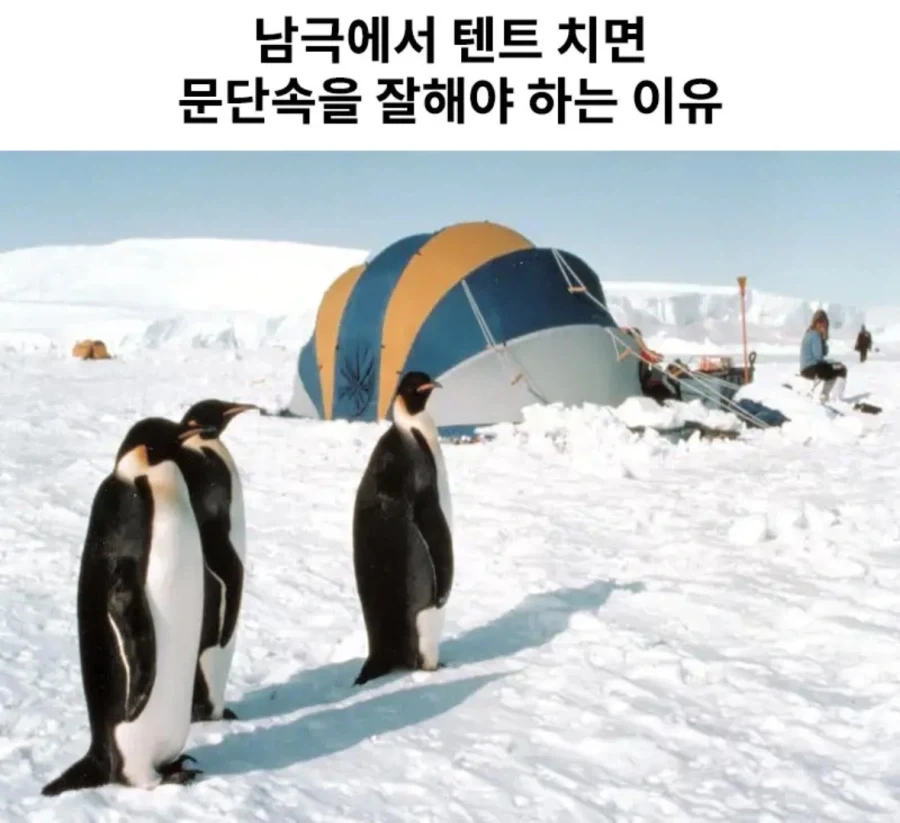 초등학생이 알려주는 여자친구 사귀는 법.jpg 이미지 3