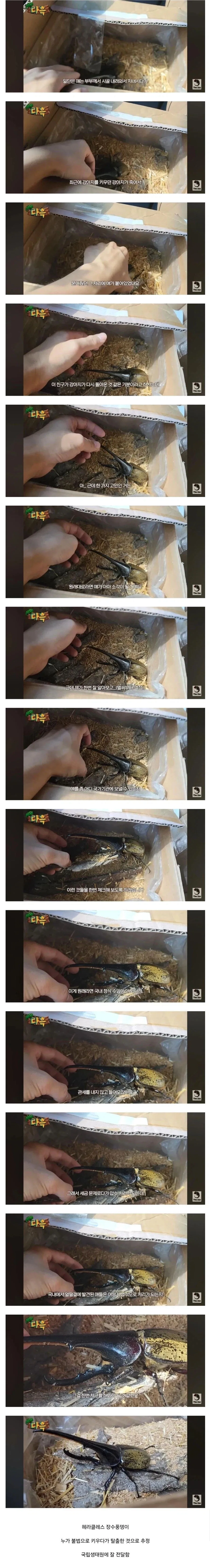 스파이더맨 그웬은 레즈비언이잖아 ㅋㅋ 색보면 몰라? 이미지 7