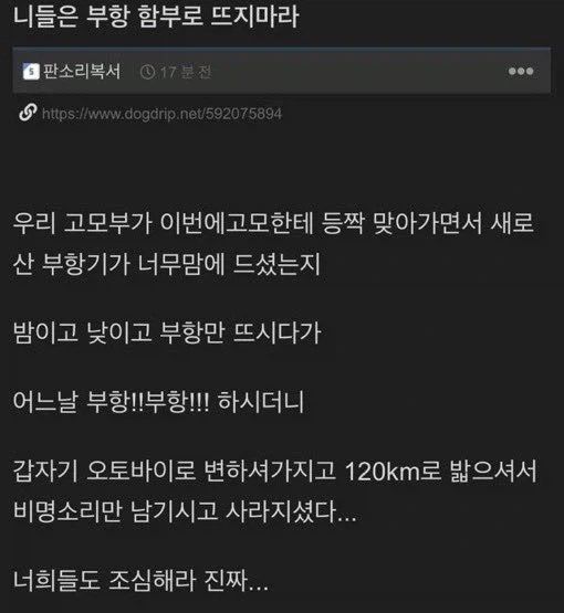 노벨피아의 총 대표 이미지