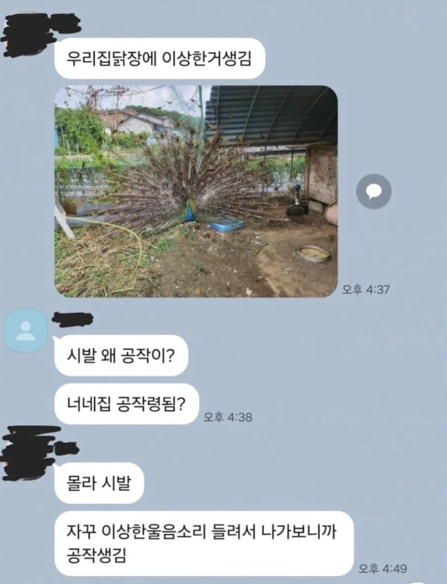 대학로 한복판 해병 가위치기 대표 이미지