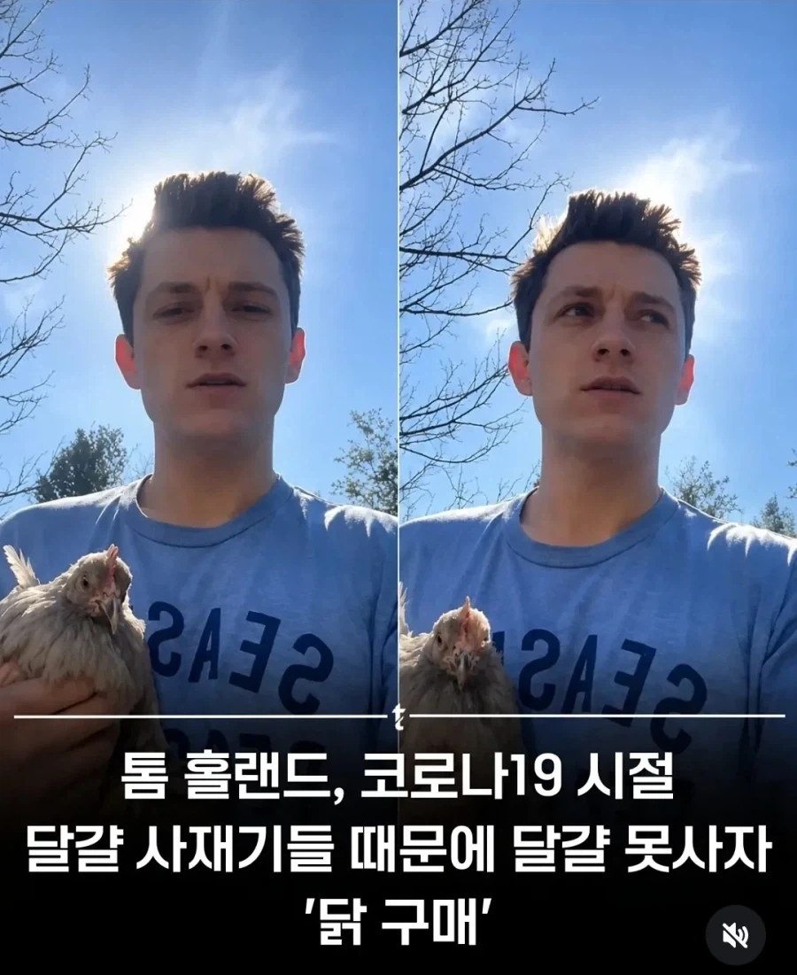 해커가 유출한 그타6 내용중에 좀..혹했던거 이미지 3