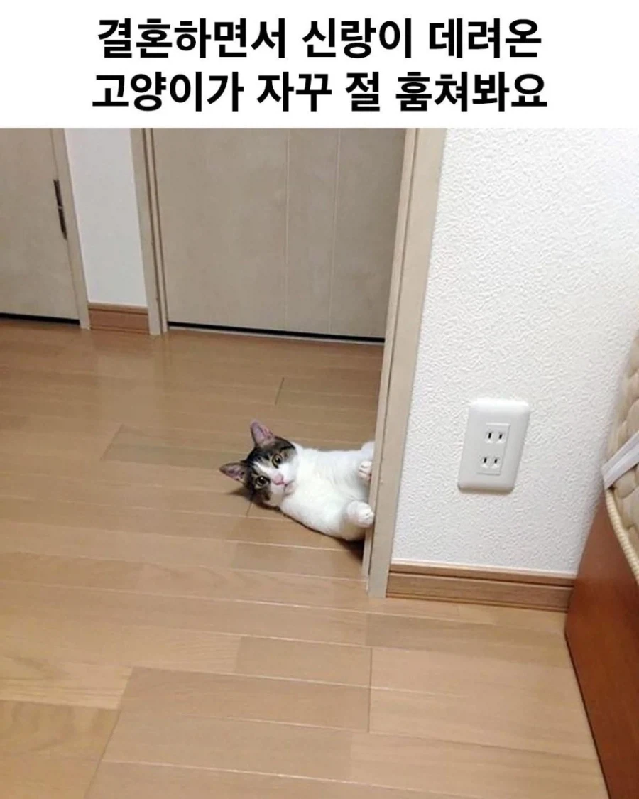 해커가 유출한 그타6 내용중에 좀..혹했던거 대표 이미지