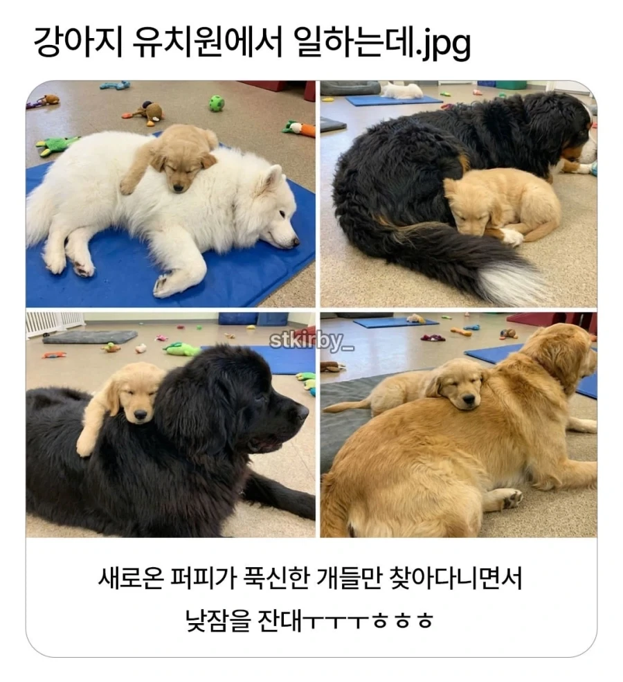무협에서 나오는 "아닛, 천하5검중 한분이신 OO을 모른단 말이냣!"은 고증이다. 대표 이미지