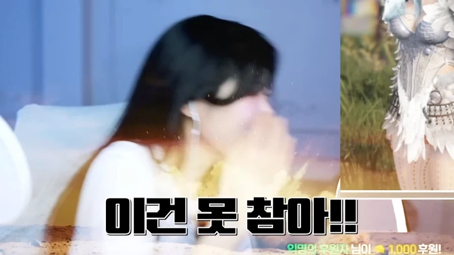 붉사 업데이트가 될 수록 고통 받는 검사 유저_2.webp