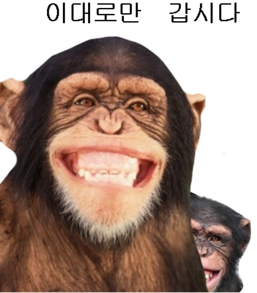 노벨피아 작가라면 절대 잊어서는 안되는 철칙 ㅋㅋㅋㅋ_2.webp