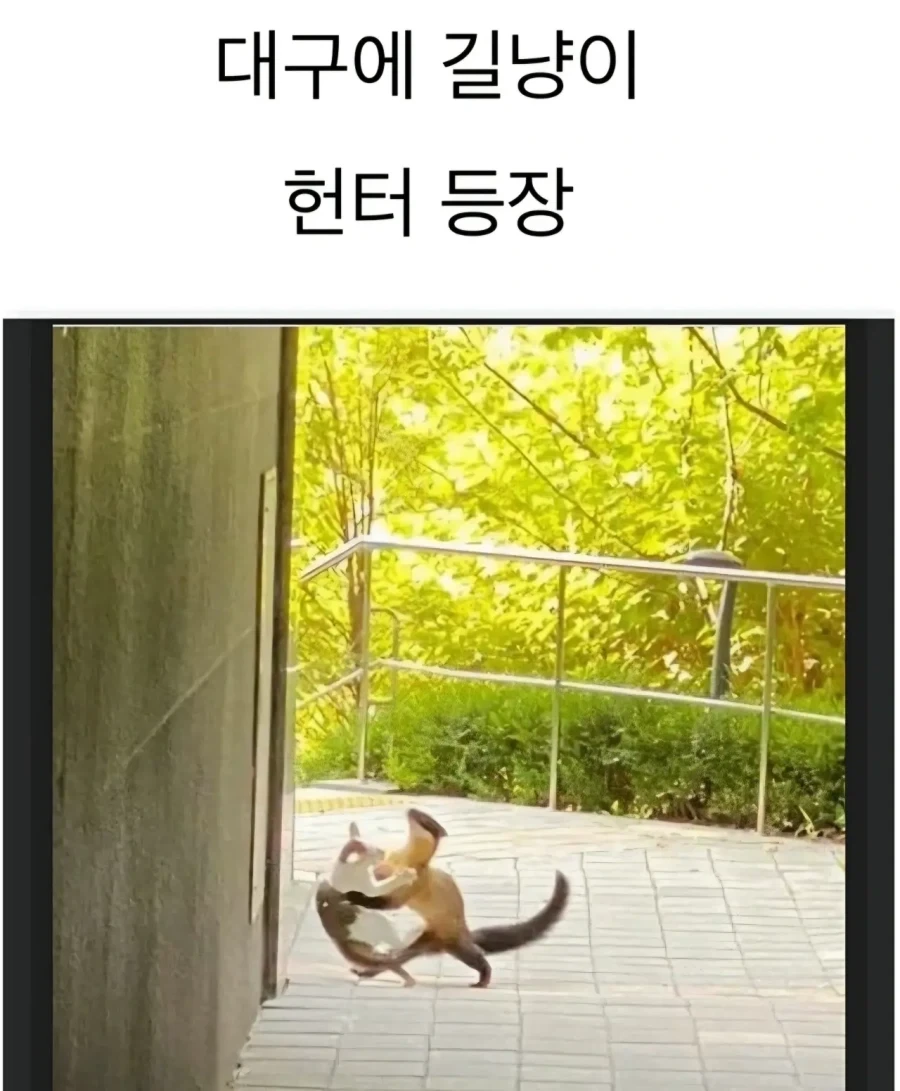 TS)남학교의 공주님.MANGA 대표 이미지