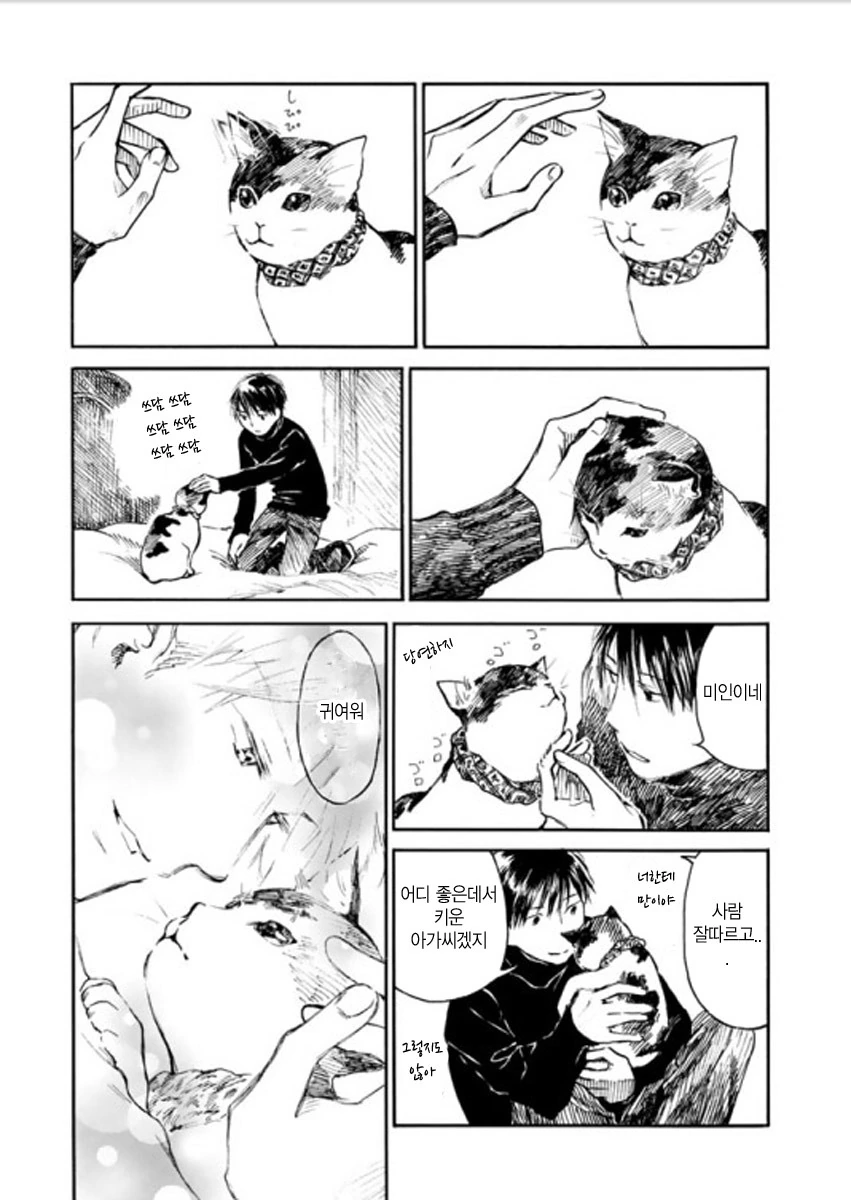 manga_2680175_003.webp