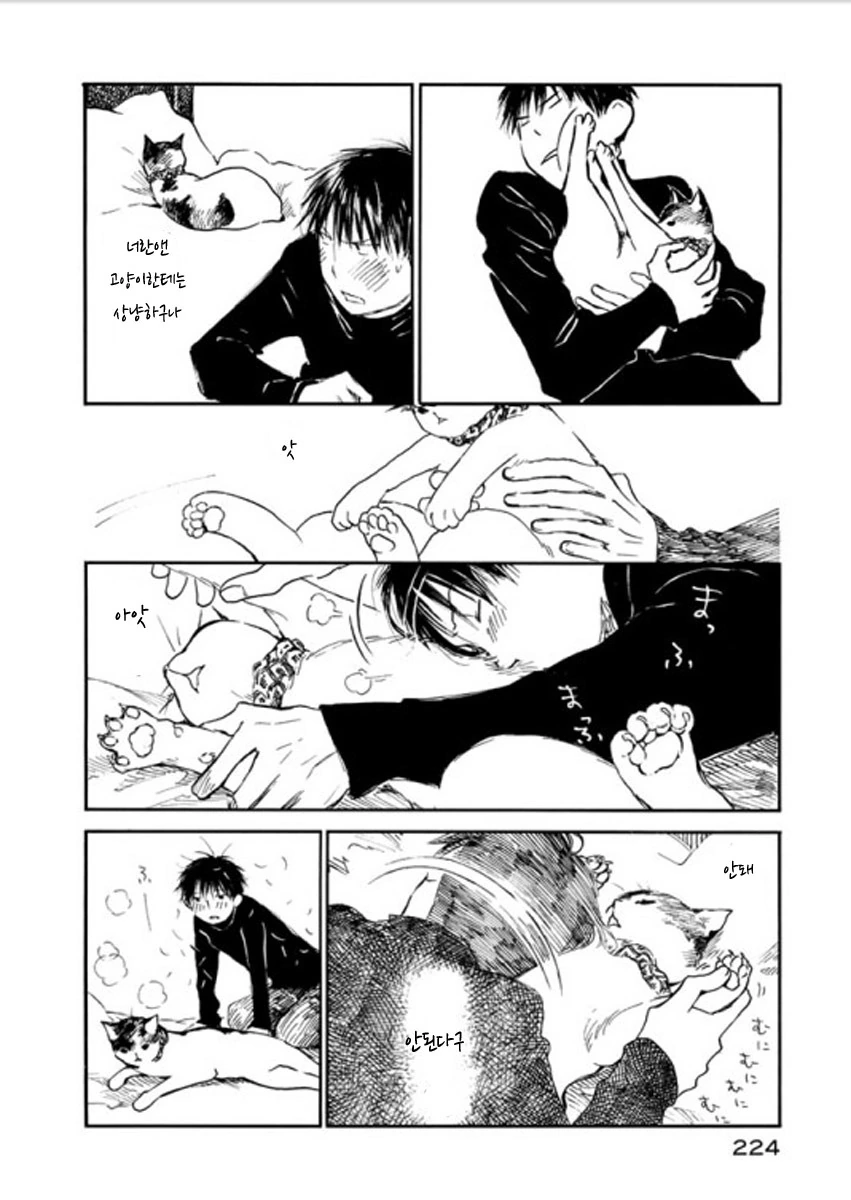 manga_2680175_004.webp