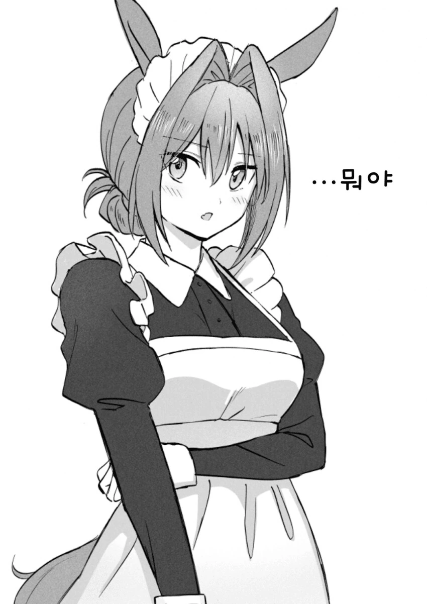 manga_3796507_002.webp