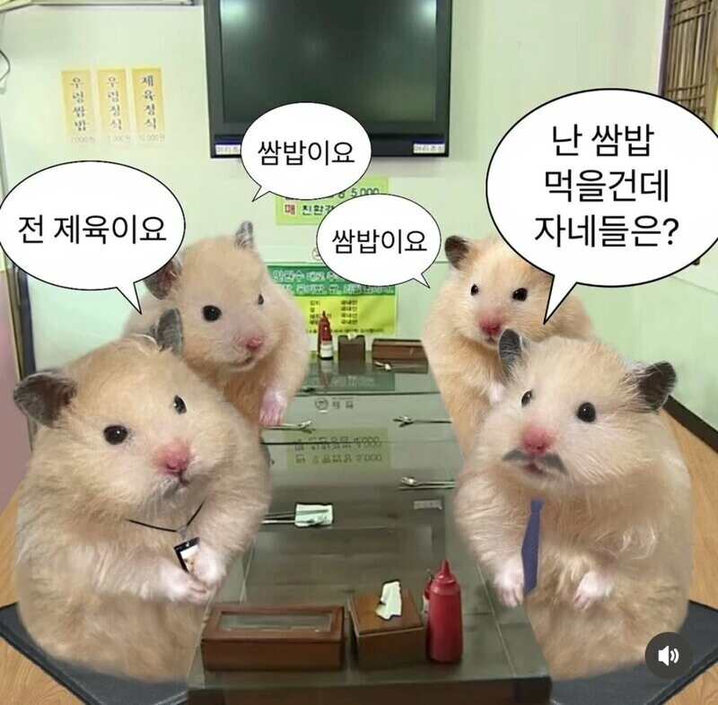 체육시간에 여자애랑 꽁냥꽁냥하는 인싸 만화. 대표 이미지