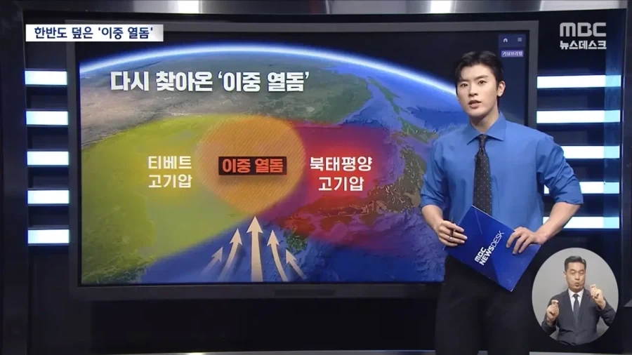 젠레스) 음해로 이미지 조진 캐릭 0티어 대표 이미지