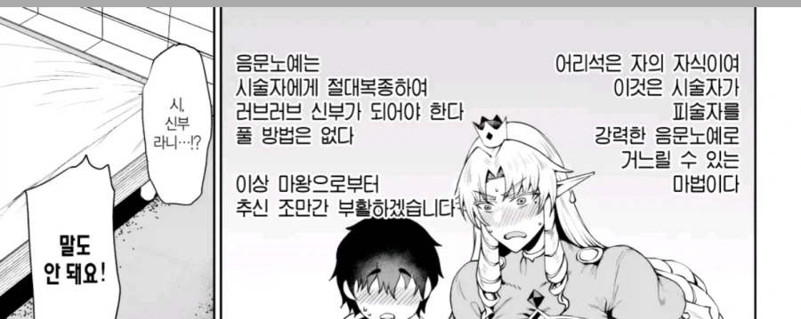 인간을 벌레 취급하는 엘프 왕족 특징.jpg_4.webp