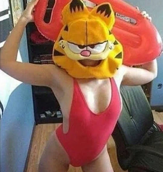 이런 짤이 외 존재하는 거임_8.webp