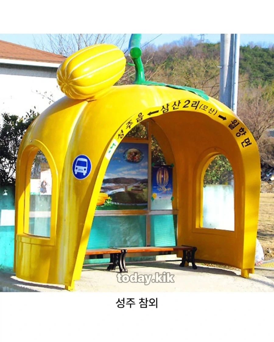 한국에 다양한 버스정류장_2.webp