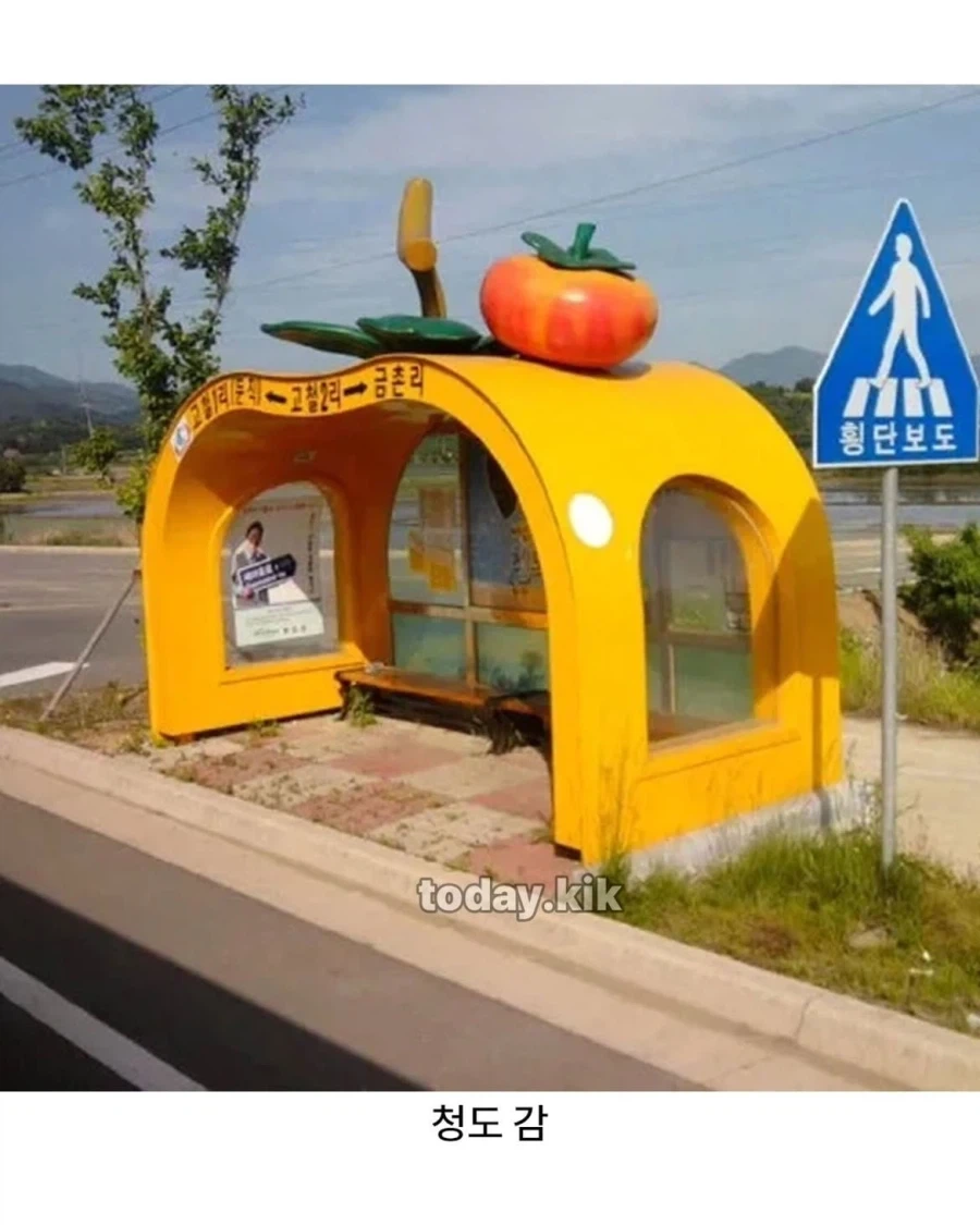 한국에 다양한 버스정류장_3.webp