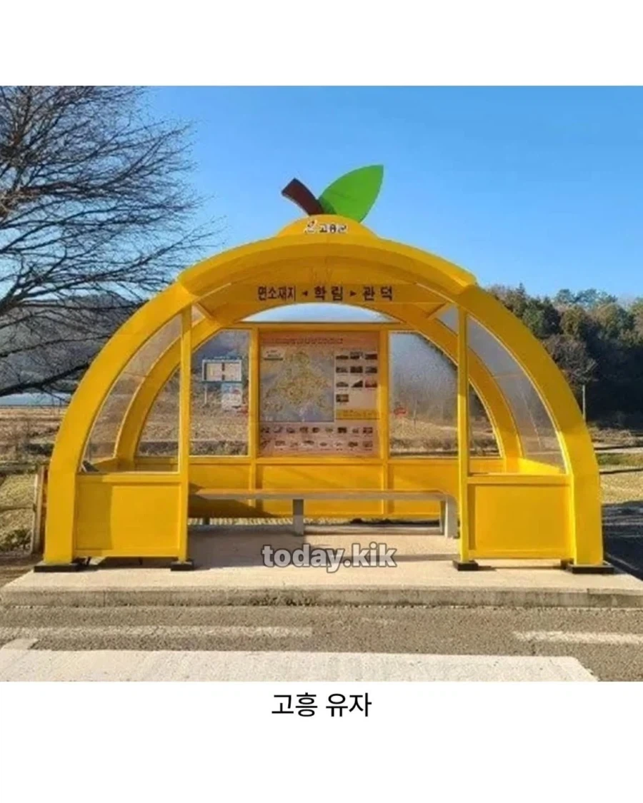 한국에 다양한 버스정류장_4.webp