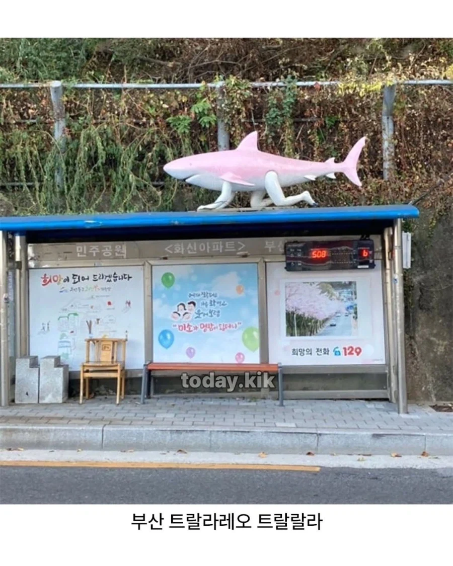 한국에 다양한 버스정류장_5.webp