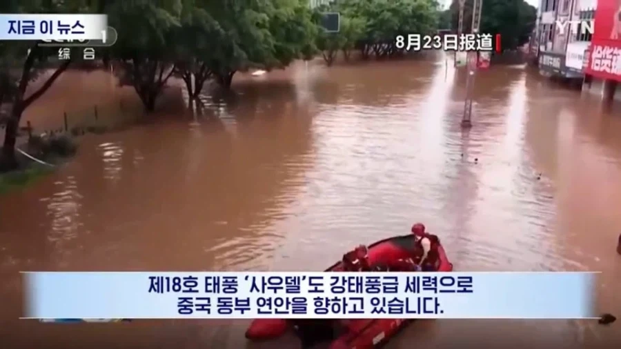 만약 내....이 조금더 컸더라면.... 이미지 11
