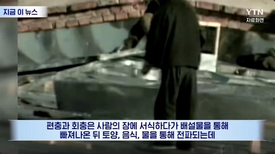 러시아에 기생충을 퍼트리고 다닌다는 북한_5.webp