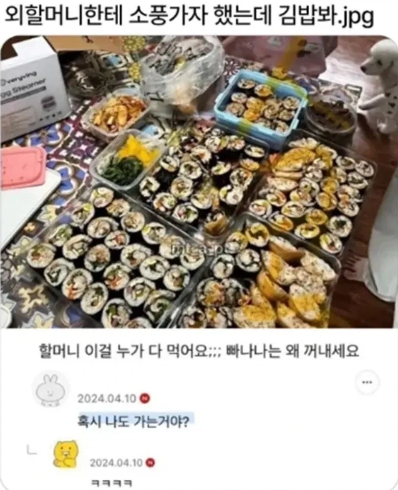 코브라 쇼에서 사고가 거의 없는 이유.jpg 대표 이미지