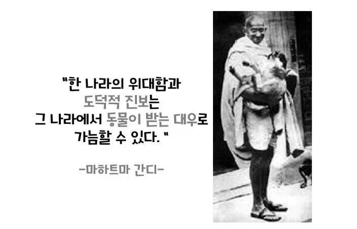 트로이가 목마 때문에 함락된 이유 이미지 8