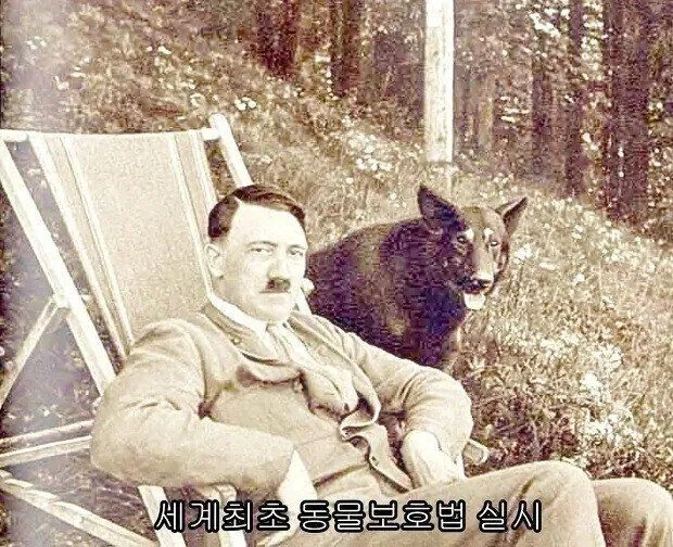 간디가 말한 위대한 나라_2.webp