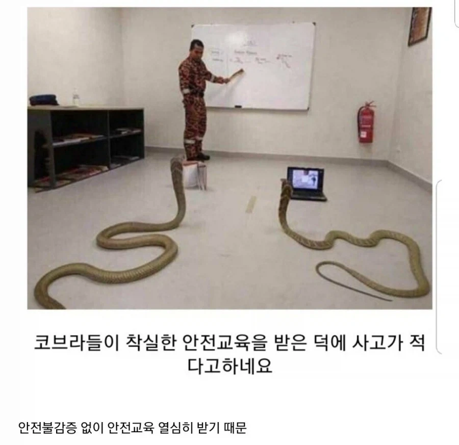 아이사츠의 기원 이미지 6