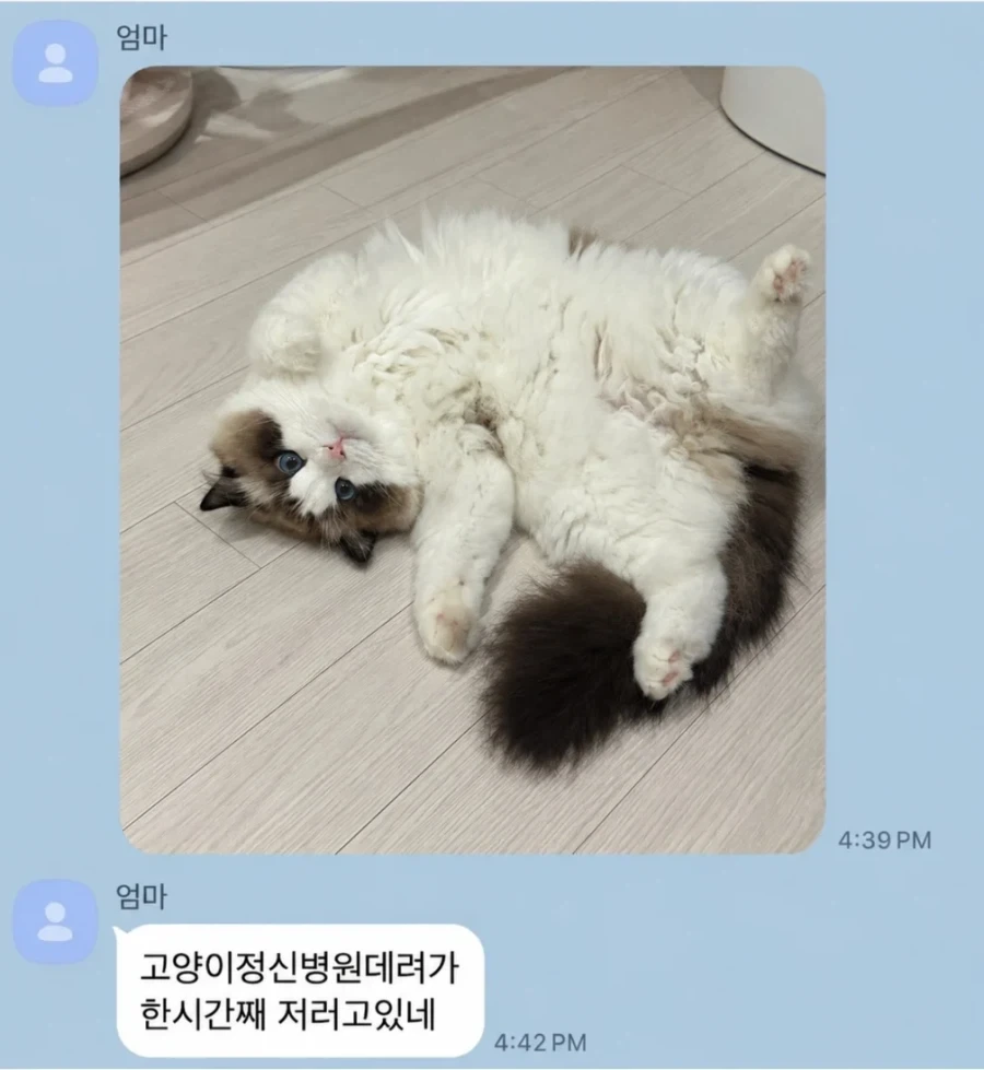 우리는 와이파이가 없습니다.jpe 이미지 2