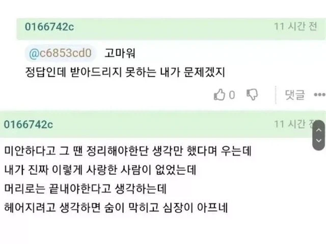 애인이 바람폈다는 글에 등장한 현자 댓글.jpg_3.webp
