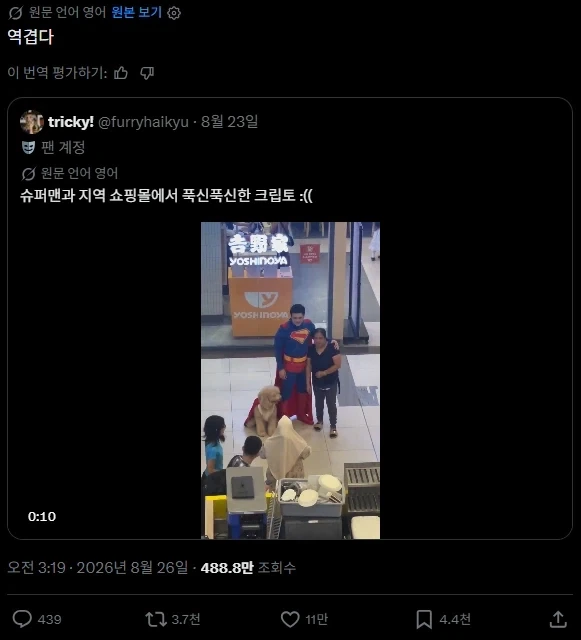 라이자 ViP 이미지 6