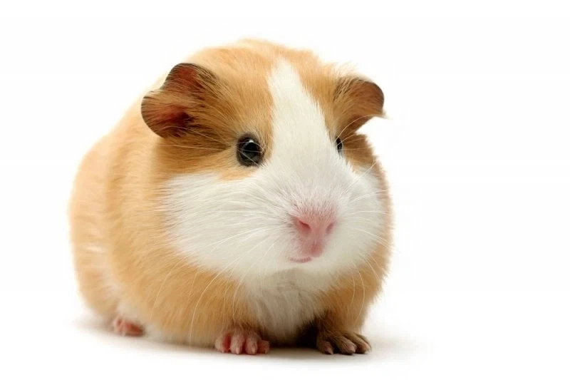SF) 순간이동 기술을 만든 과학자의 회고_3.webp