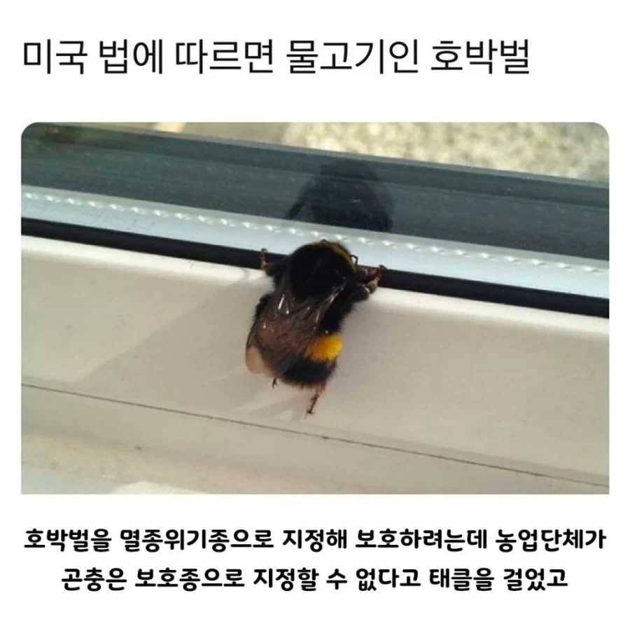 레드불 : 위쳐는 개쩔지 이미지 4