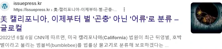 미국서 물고기로 취급되는 호박벌_5.webp