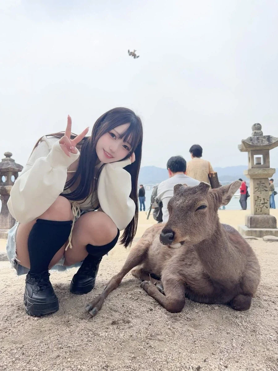 ㅈㄴ 수상한 꿀벌들 이미지 3