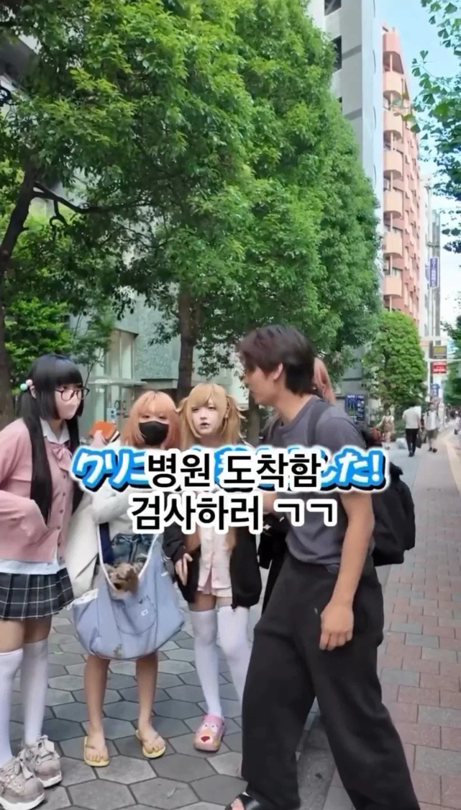 토요코 키즈가 위험한건 한구레나 야쿠자도 있지만 그것보다..._6.webp
