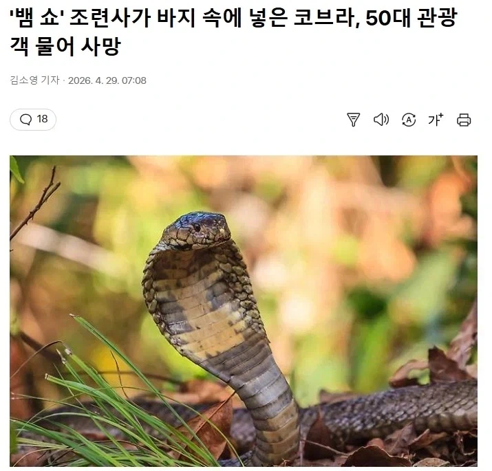 주식) 길가다 개인 보면 대가리 한대씩 후린다 이미지 3