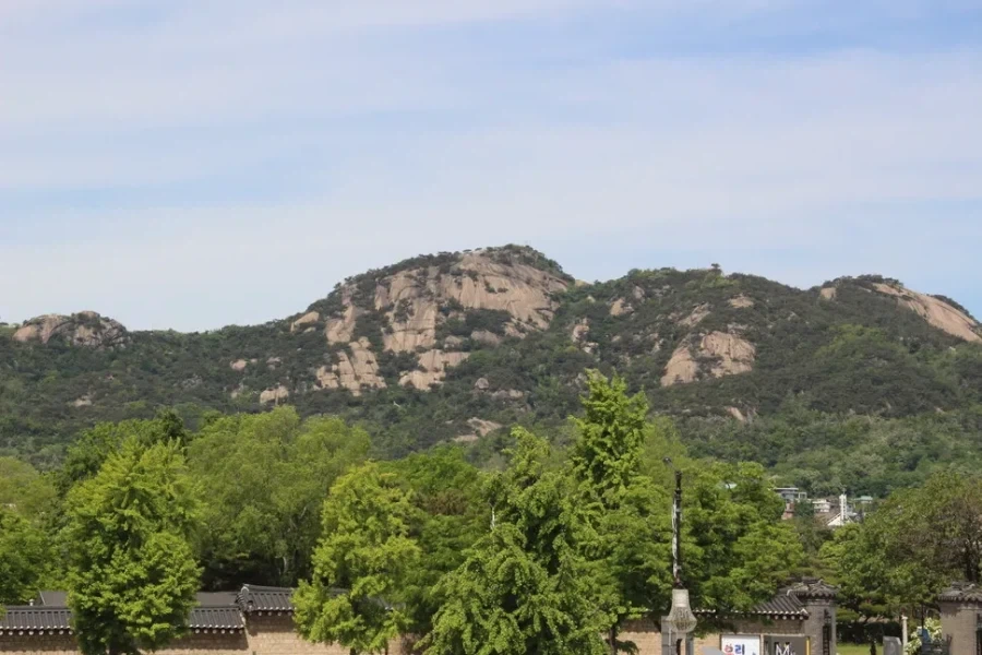 의외로 인종차별 심한 국가중 하나인 나라 이미지 2