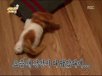 오디세이)무한도전 오디세이_13.webp
