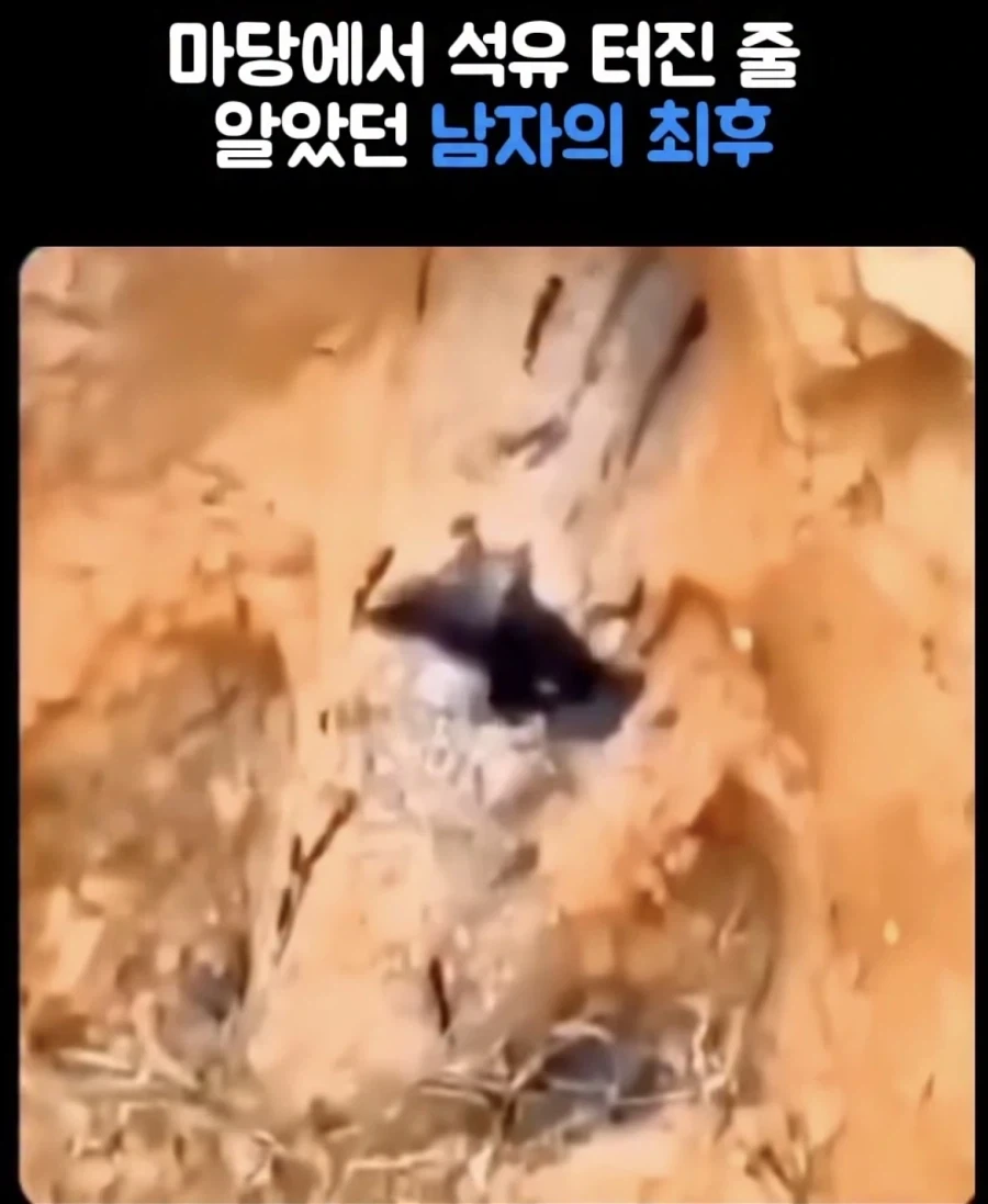 피규어 도색 개고수 ㄷㄷ 대표 이미지
