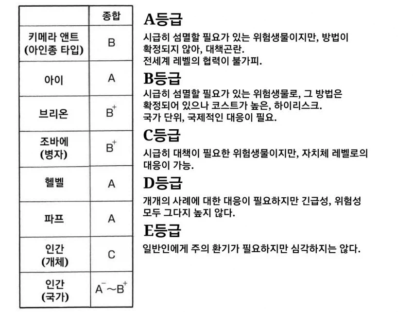헌터x헌터 B급 키메라 앤트의 진실.jpg_2.webp